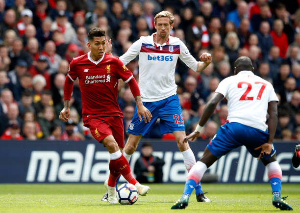 球迷球星共 球迷球星共